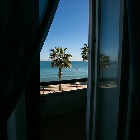 Le Palme * Trani