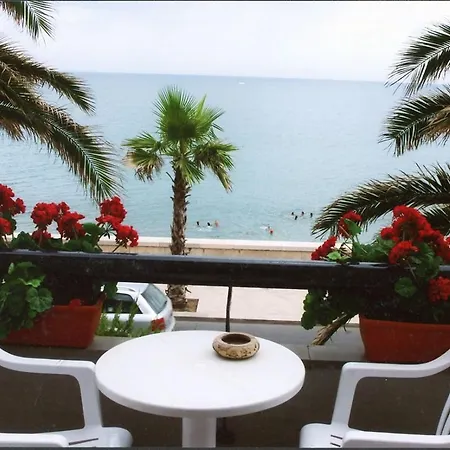 Le Palme * Trani